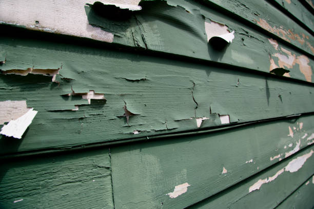 Best Construction Debris Removal  in Hoopeston, IL